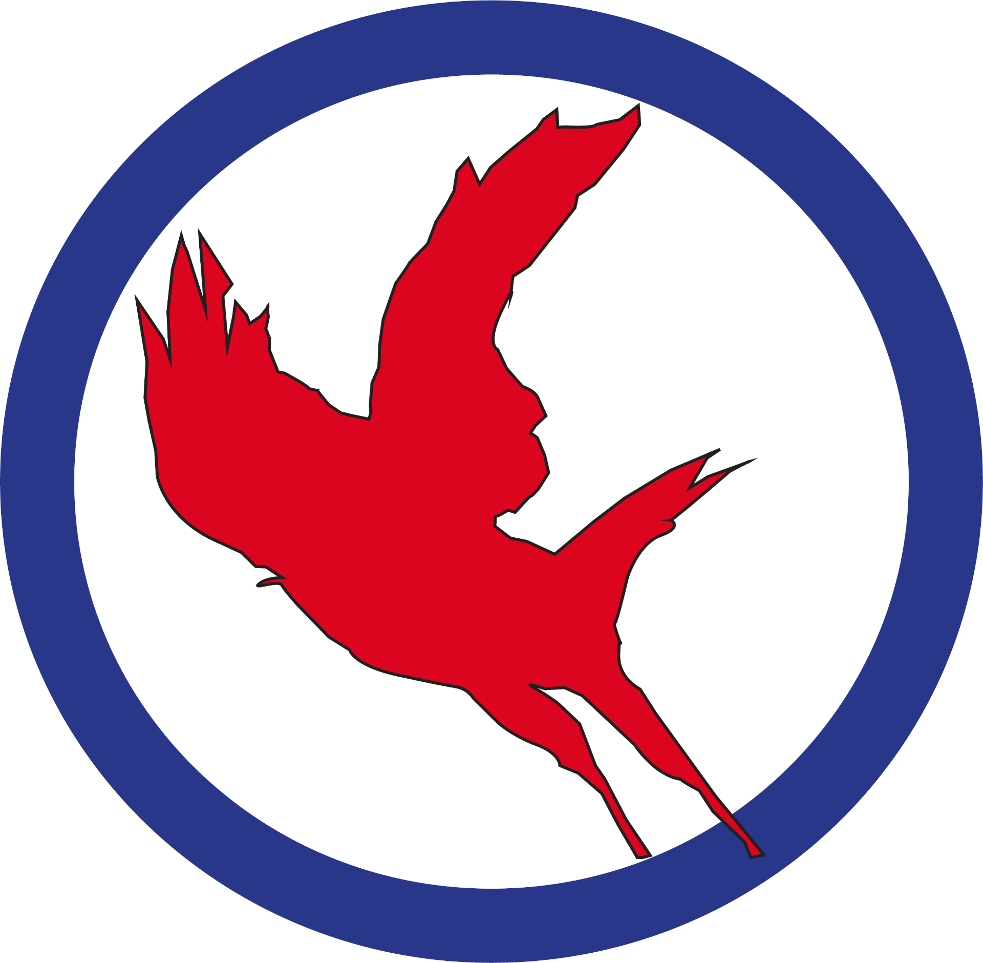 Red Crow Drone Solutions logo
